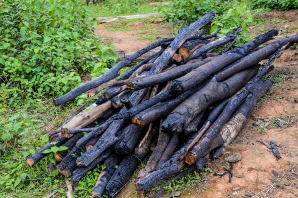 Wood charcoal is the most common type of charcoal
