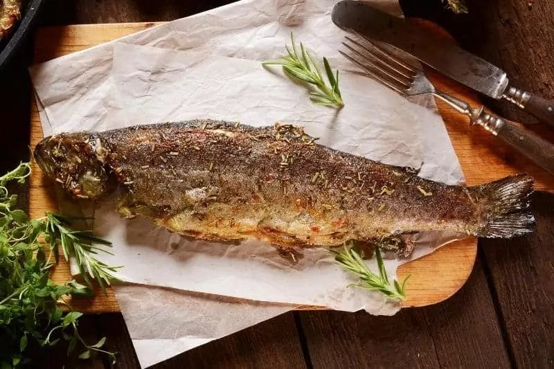 speckled sea trout recipes